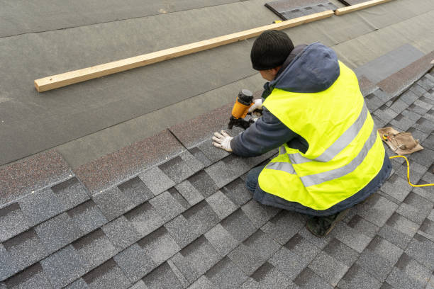 Best Roof Gutter Cleaning  in Nelsonville, OH
