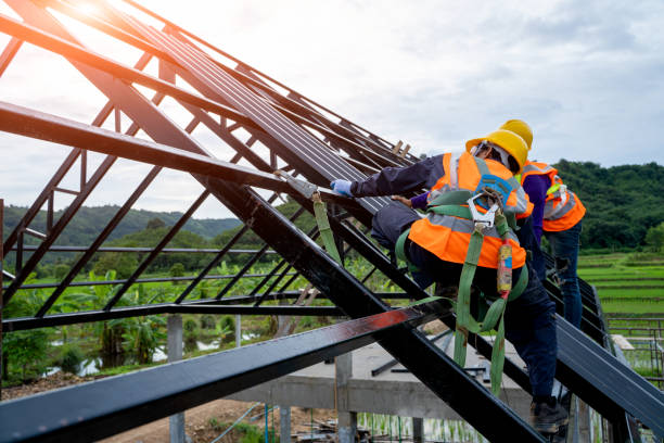 Best Storm Damage Roof Repair  in Nelsonville, OH