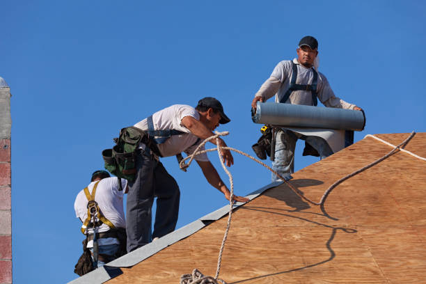 Roof Gutter Cleaning in Nelsonville, OH