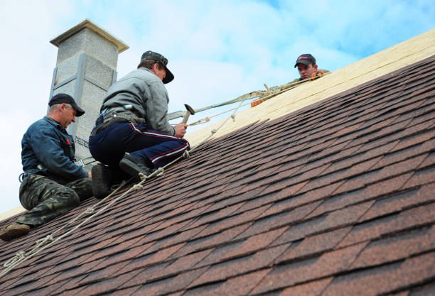 Best Emergency Roof Repair  in Nelsonville, OH